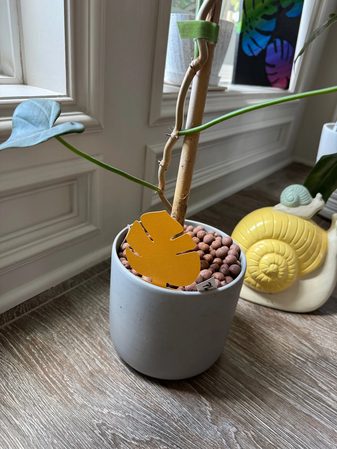 Sticky Traps Hive Plants