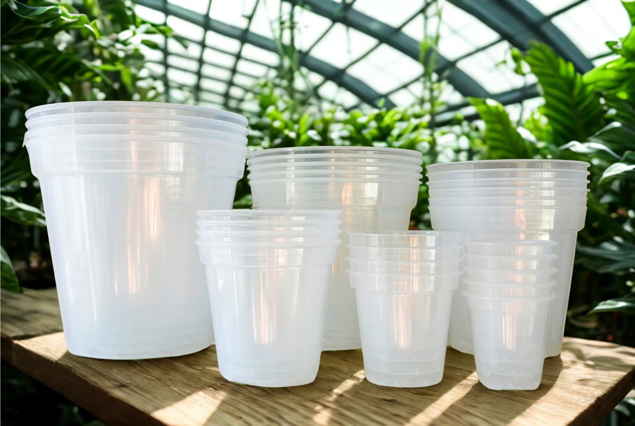 Clear Plastic Pots Hive Plants