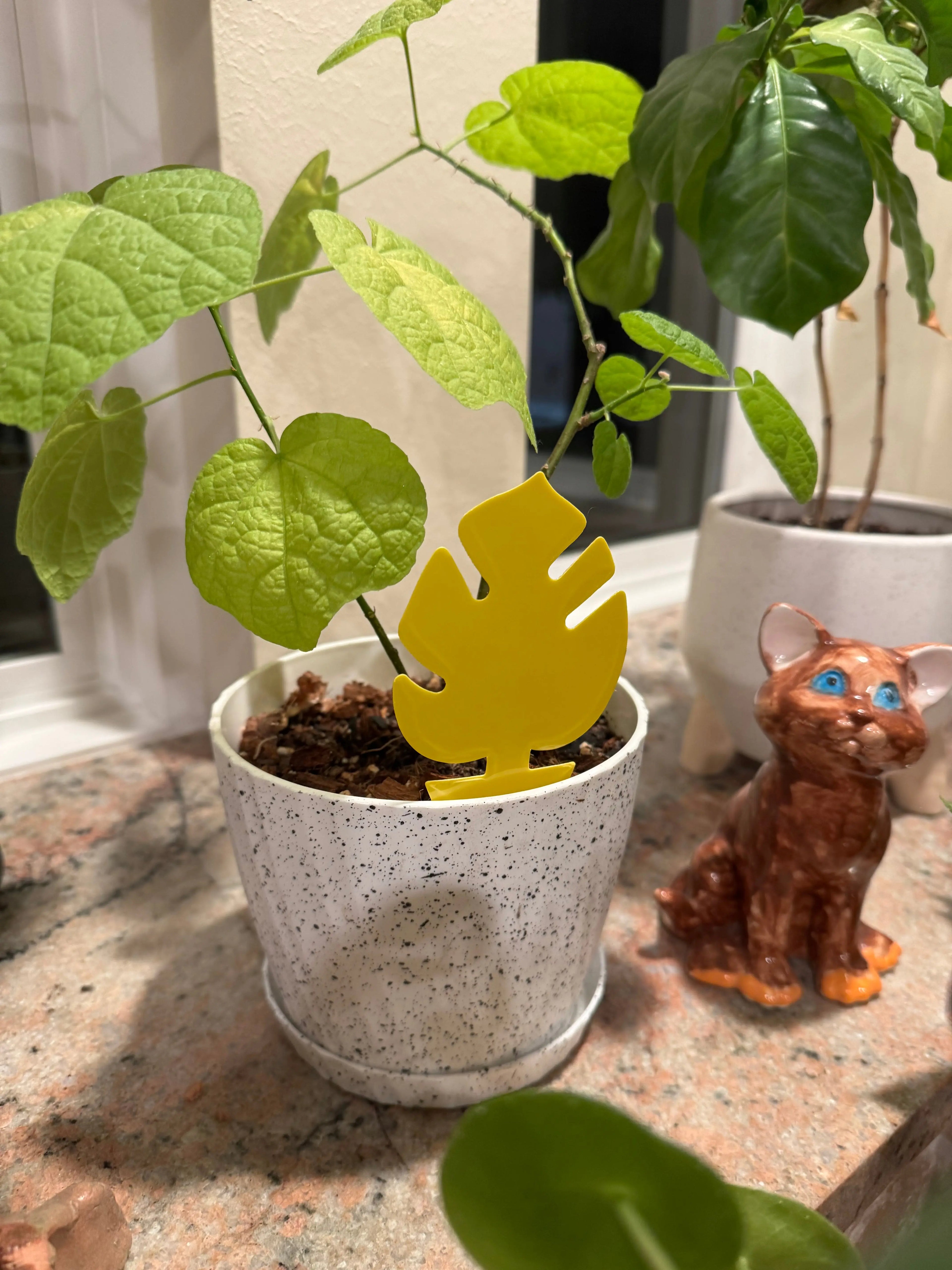 Sticky Traps Hive Plants