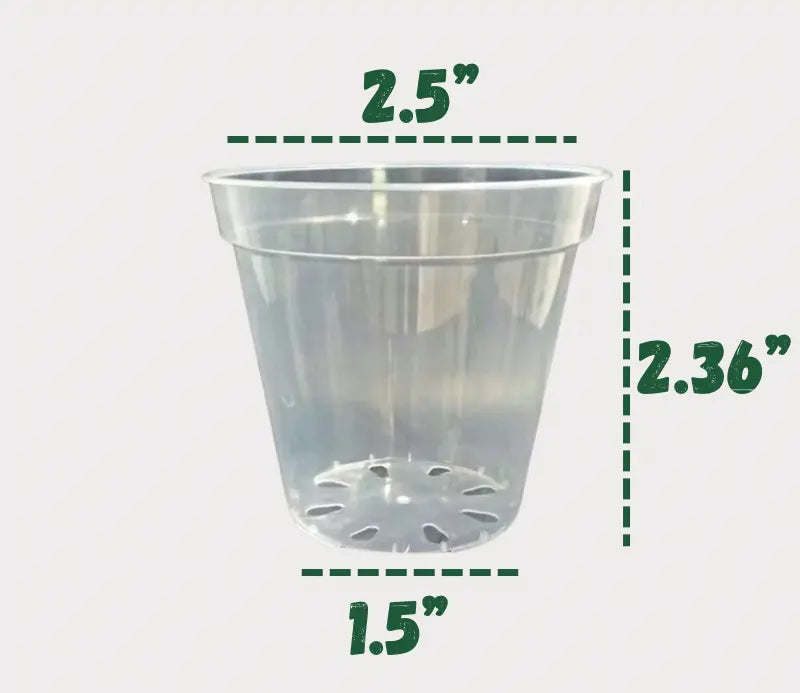 Clear Plastic Pots Hive Plants