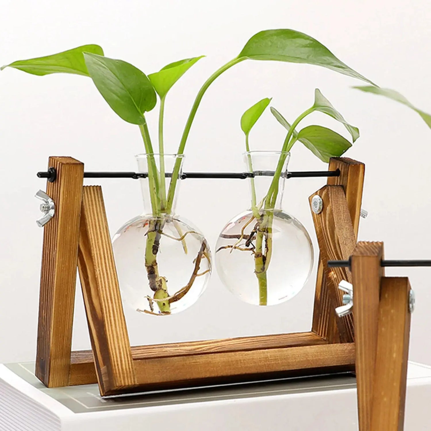 Propagation Station Glass Hydroponic Planter Bulb Terrarium Vase with Retro Wooden Stand for Hydroponics Plants Table Decor - The White Oak Collection -