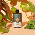 Grow Concentrate (8 fl oz) - Hive Plants -