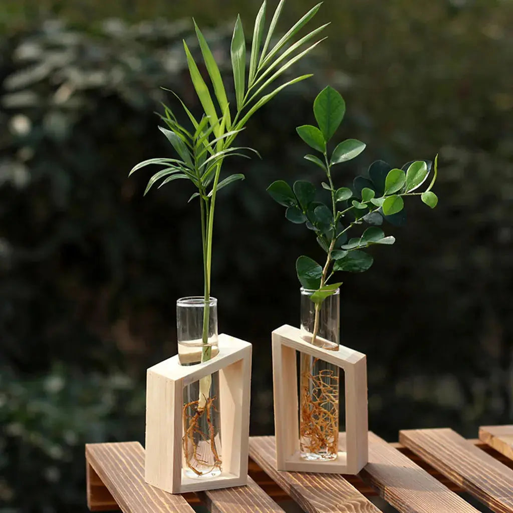 Propagation Station Glass Hydroponic Planter Bulb Terrarium Vase with Retro Wooden Stand for Hydroponics Plants Table Decor - The White Oak Collection -