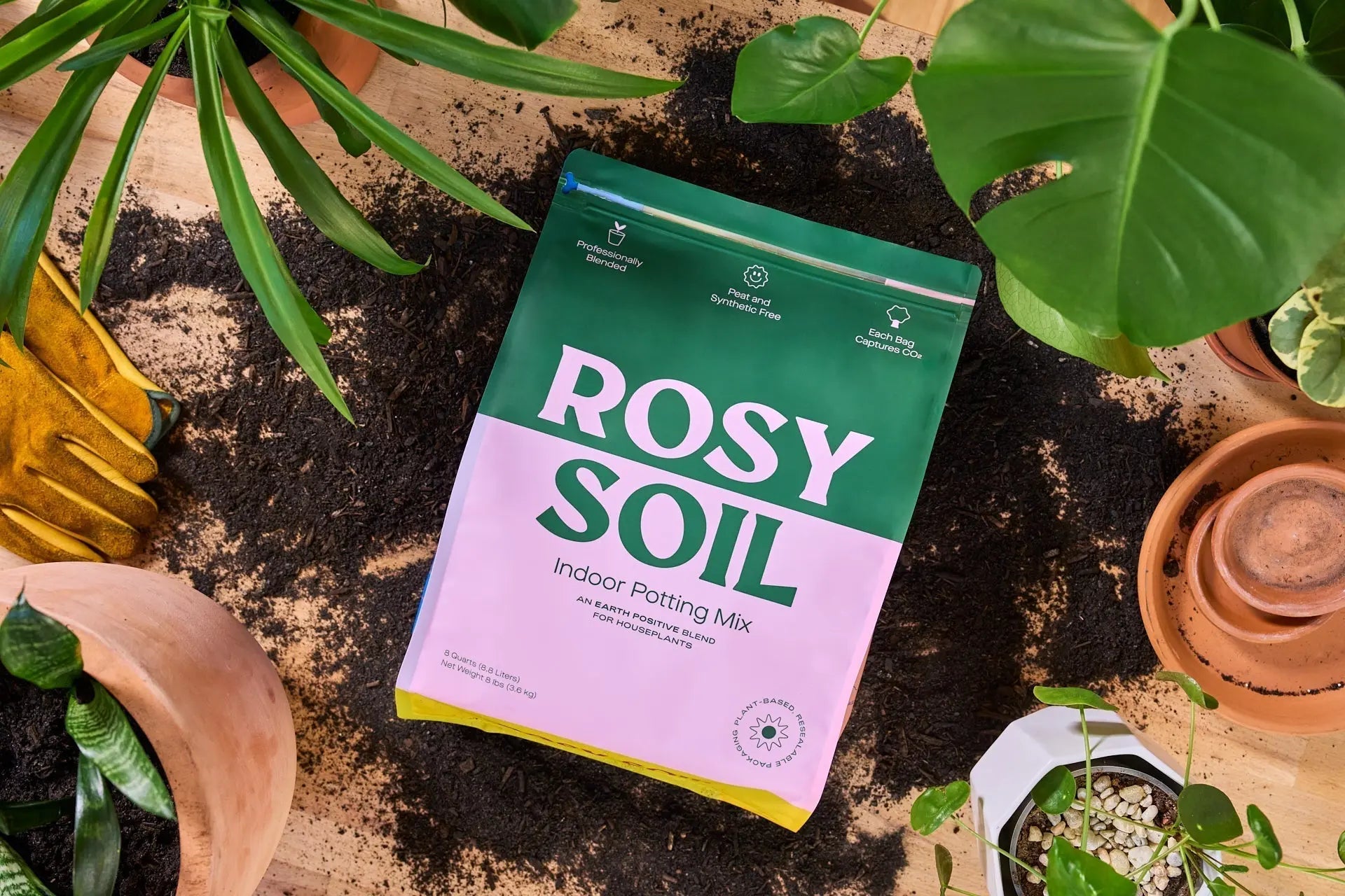 Rosy Indoor Potting Soil - Hive Plants -