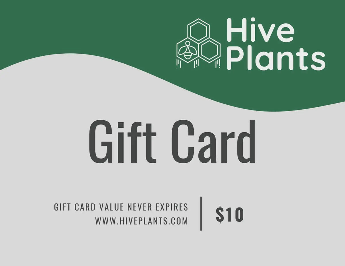 Hive Plant Store Gift Card - Hive Plants - Gift Cards