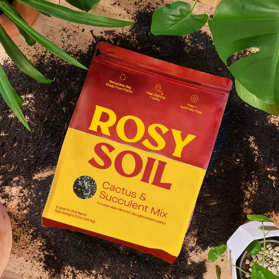 Rosy Cactus & Succulent Potting Soil - Hive Plants -
