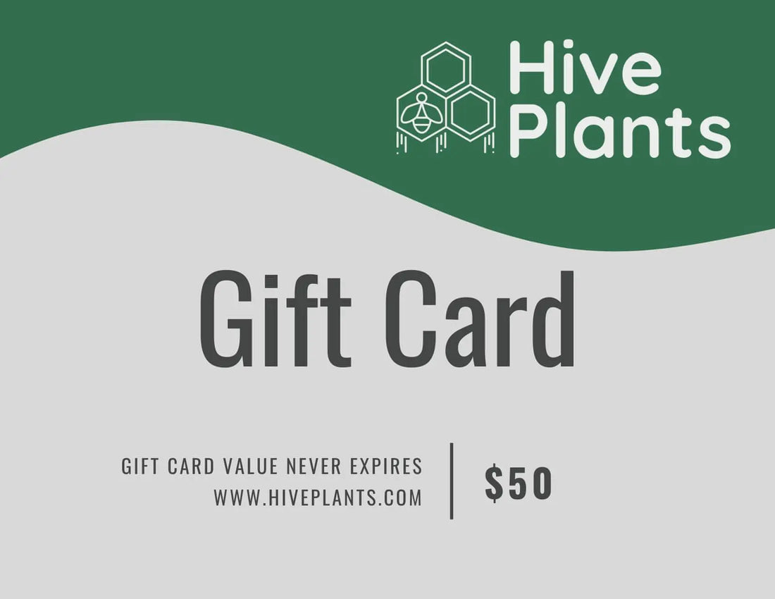 Hive Plant Store Gift Card - Hive Plants - Gift Cards