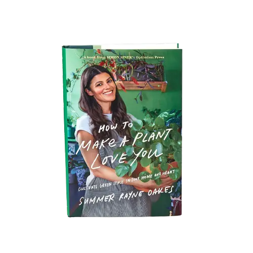 How to Make a Plant Love You - Hive Plants -