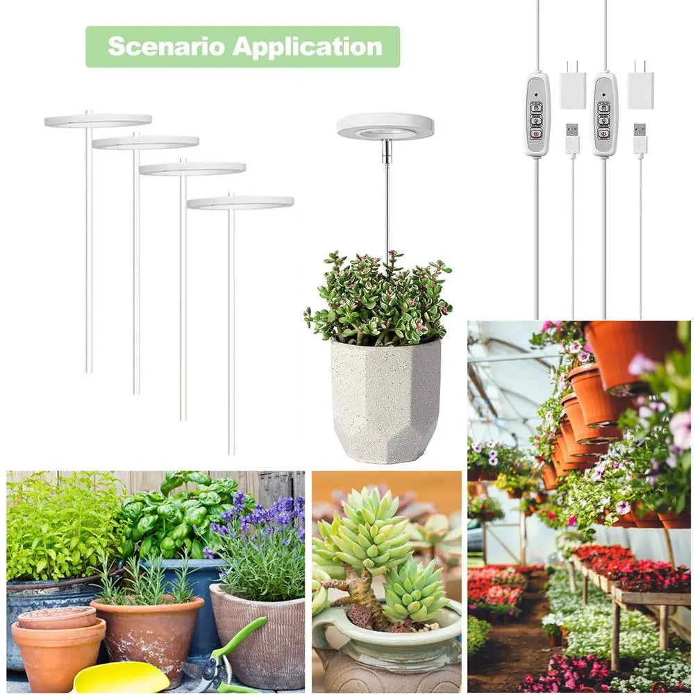 Ring Grow Light - White Oak Home Goods - Garden Supplies/Accessories