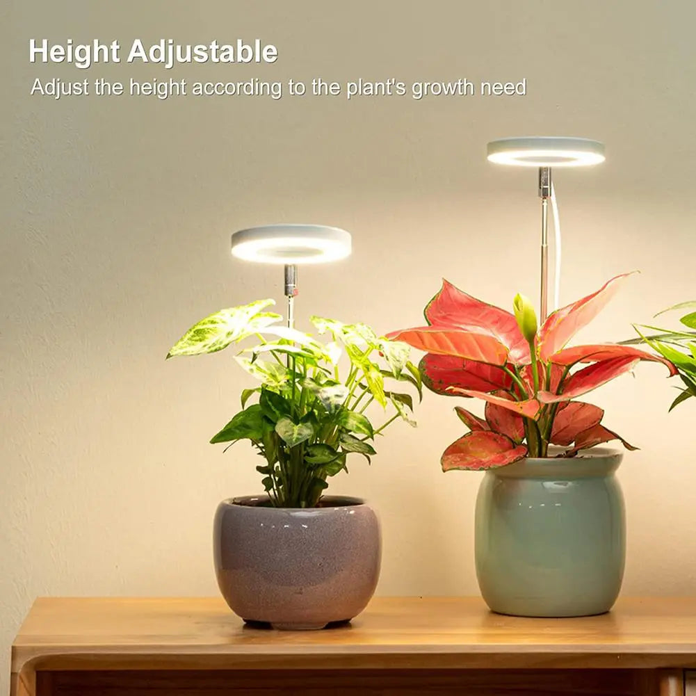 Ring Grow Light - White Oak Home Goods - Garden Supplies/Accessories