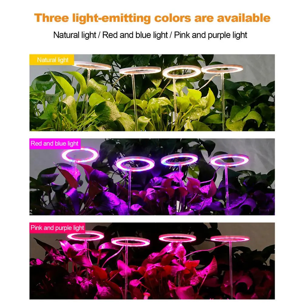 Ring Grow Light - White Oak Home Goods - Garden Supplies/Accessories
