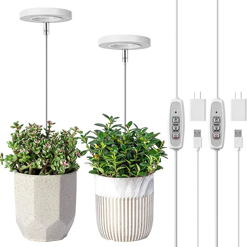 Ring Grow Light - White Oak Home Goods - Garden Supplies/Accessories