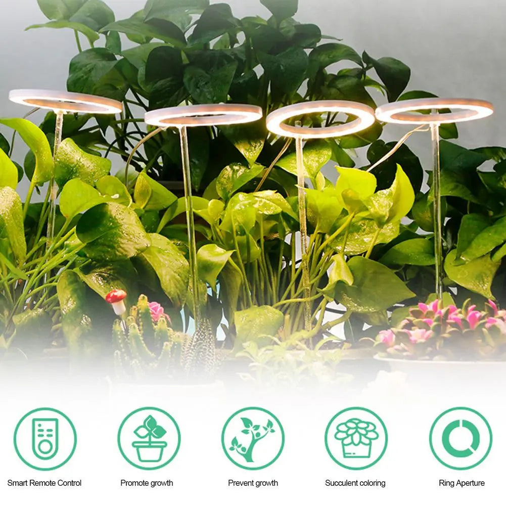 Ring Grow Light - White Oak Home Goods - Garden Supplies/Accessories