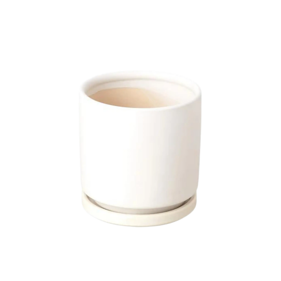 Cylinder Pot and Drip Tray - 4 Inches - Hive Plants - Pots & Planters