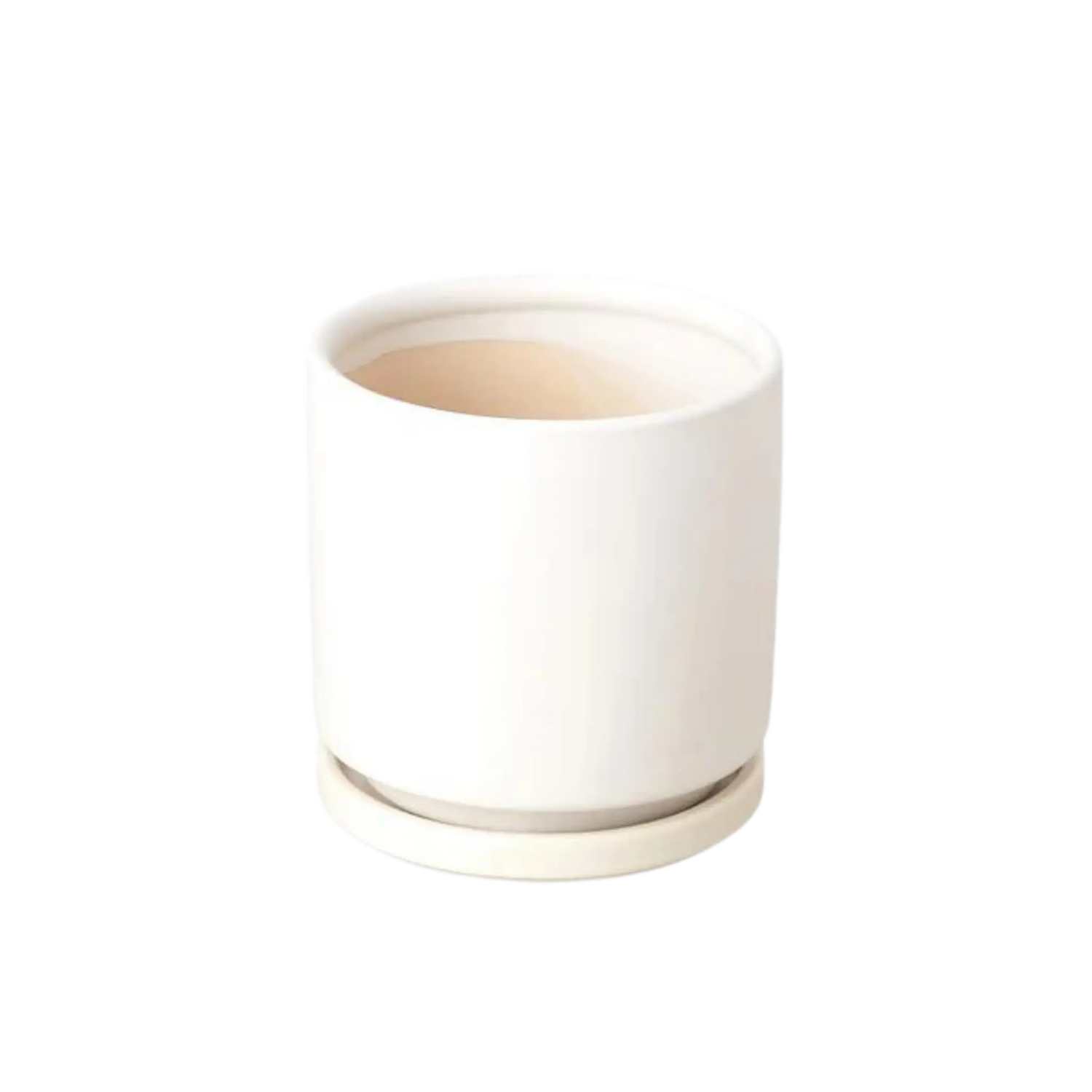 Cylinder Pot and Drip Tray - 4 Inches - Hive Plants - Pots & Planters