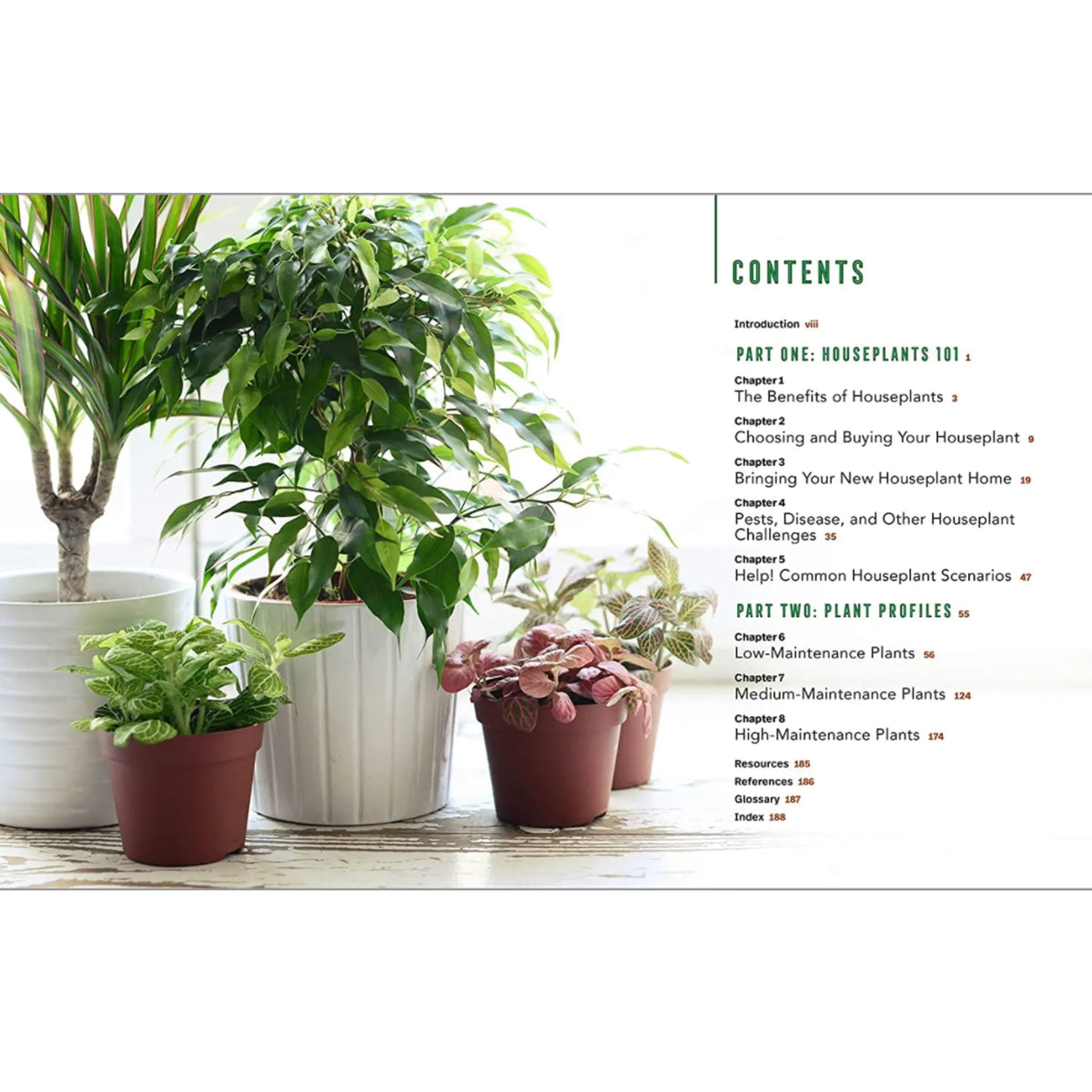 Houseplants for Beginners: A Practical Guide to Choosing, Growing, and Helping Your Plants Thrive - Hive Plants -