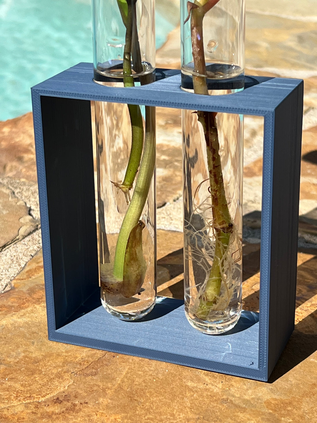 3D Printed Propagation Station - Hive Plants -