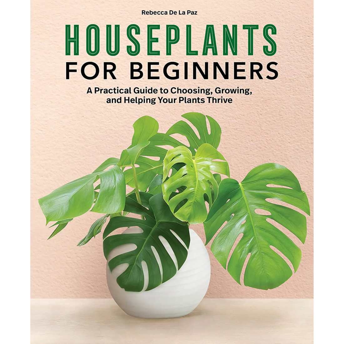 Houseplants for Beginners: A Practical Guide to Choosing, Growing, and Helping Your Plants Thrive - Hive Plants -