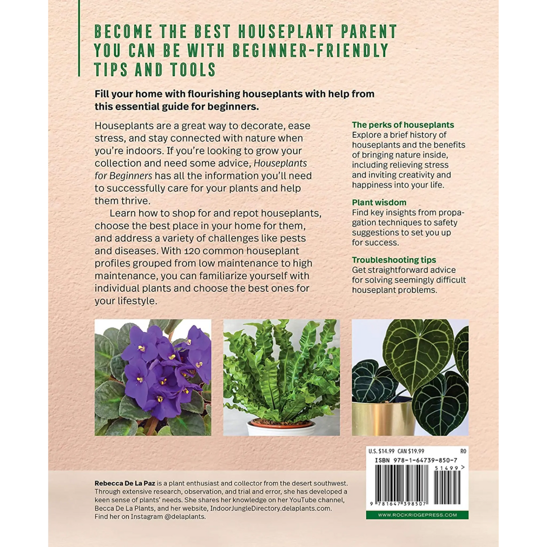Houseplants for Beginners: A Practical Guide to Choosing, Growing, and Helping Your Plants Thrive - Hive Plants -