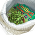 Winter Plant Shipping Protection - Hive Plants -