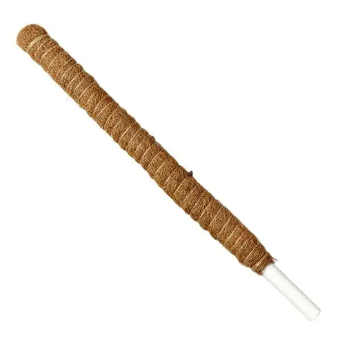 Moss Pole - 22in. - Hive Plants - Garden Supplies/Accessories