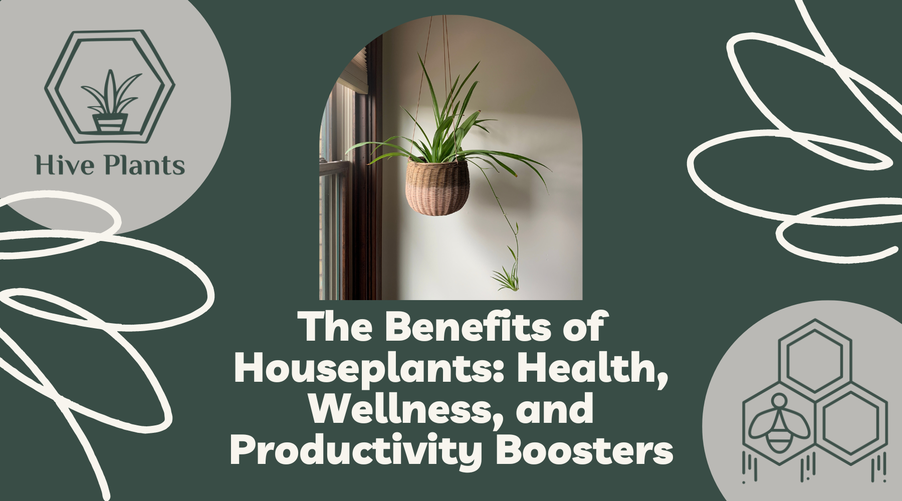 The Benefits of Houseplants: Health, Wellness, and Productivity Boosters