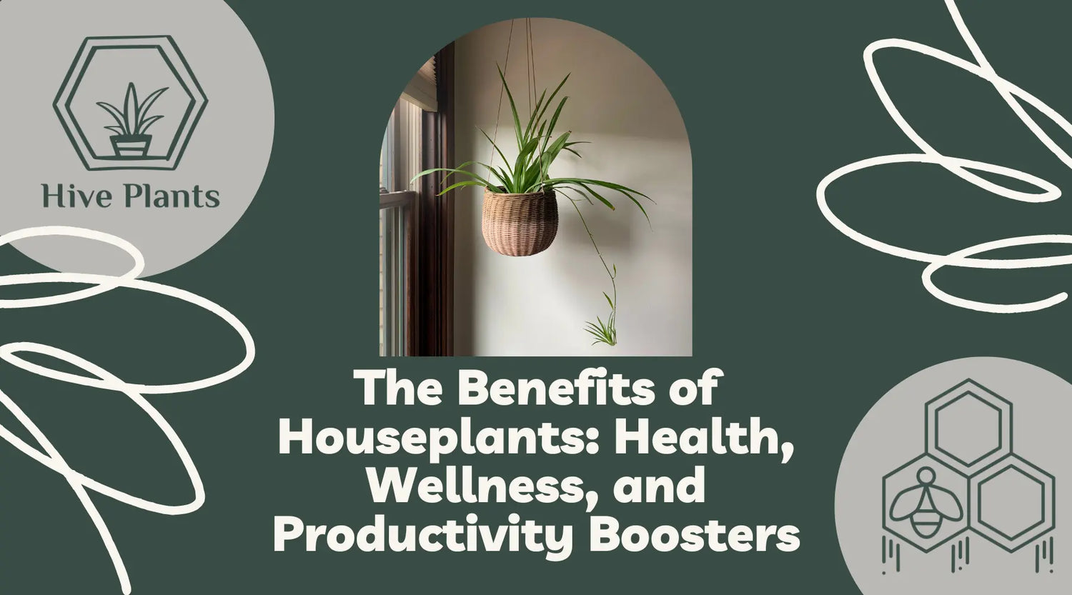 The-Benefits-of-Houseplants-Health-Wellness-and-Productivity-Boosters The White Oak Collection - Hive Plants