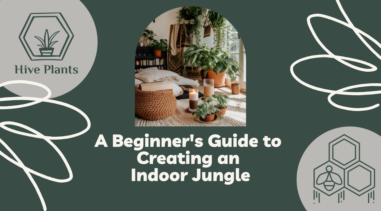Bringing Nature Indoors: A Beginner's Guide to Creating an Indoor Jungle