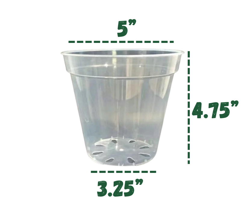 Clear Plastic Pots