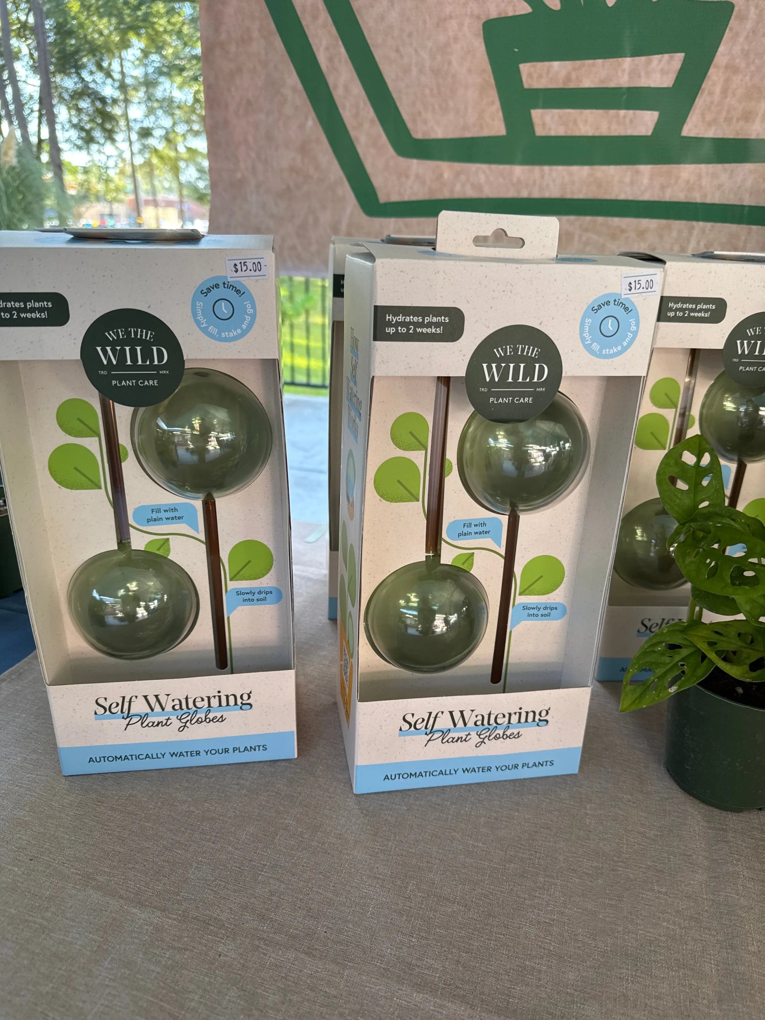 Self-Watering Plant Globes The White Oak Collection - Hive Plants