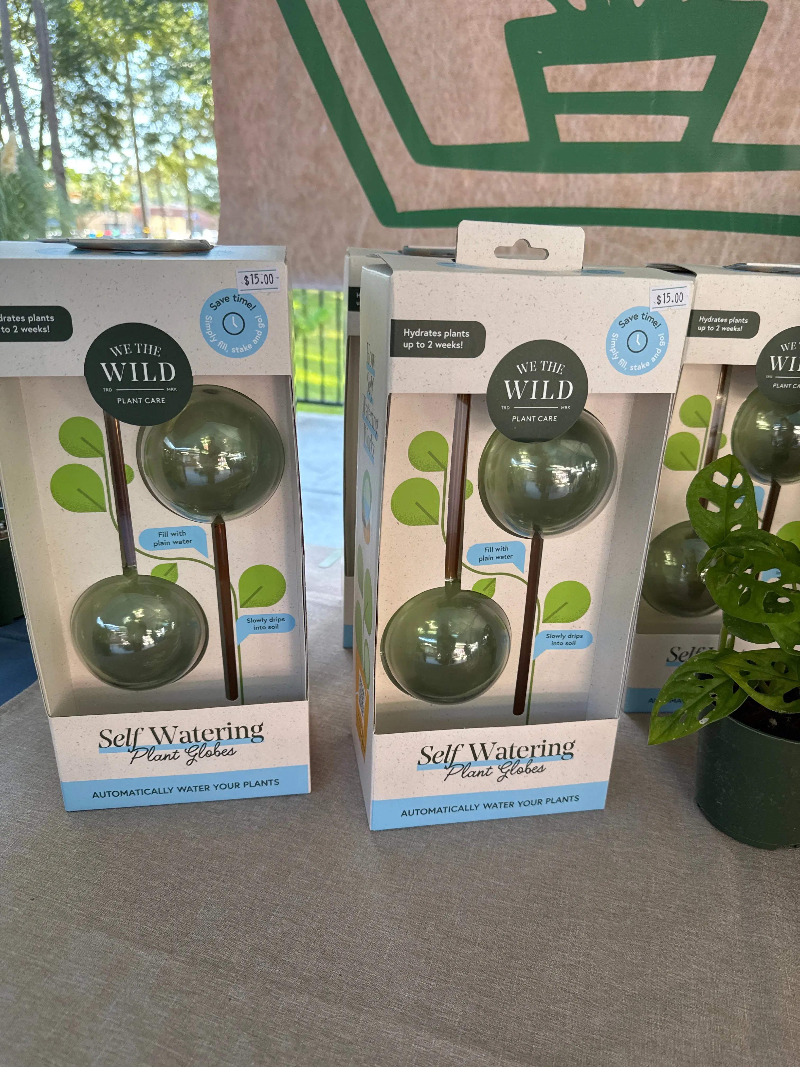Self-Watering Plant Globes The White Oak Collection - Hive Plants