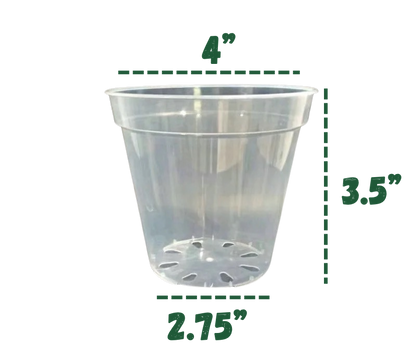 Clear Plastic Pots