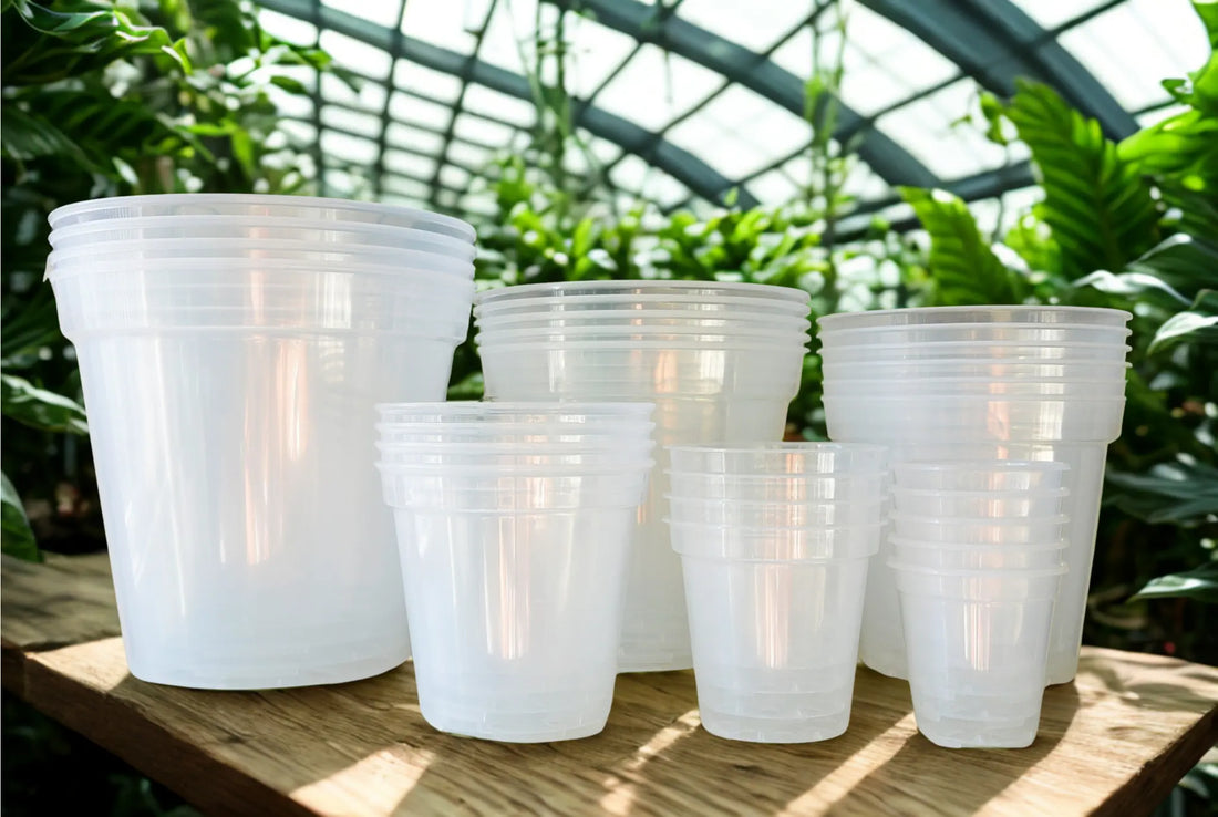 Clear Plastic Pots Hive Plants