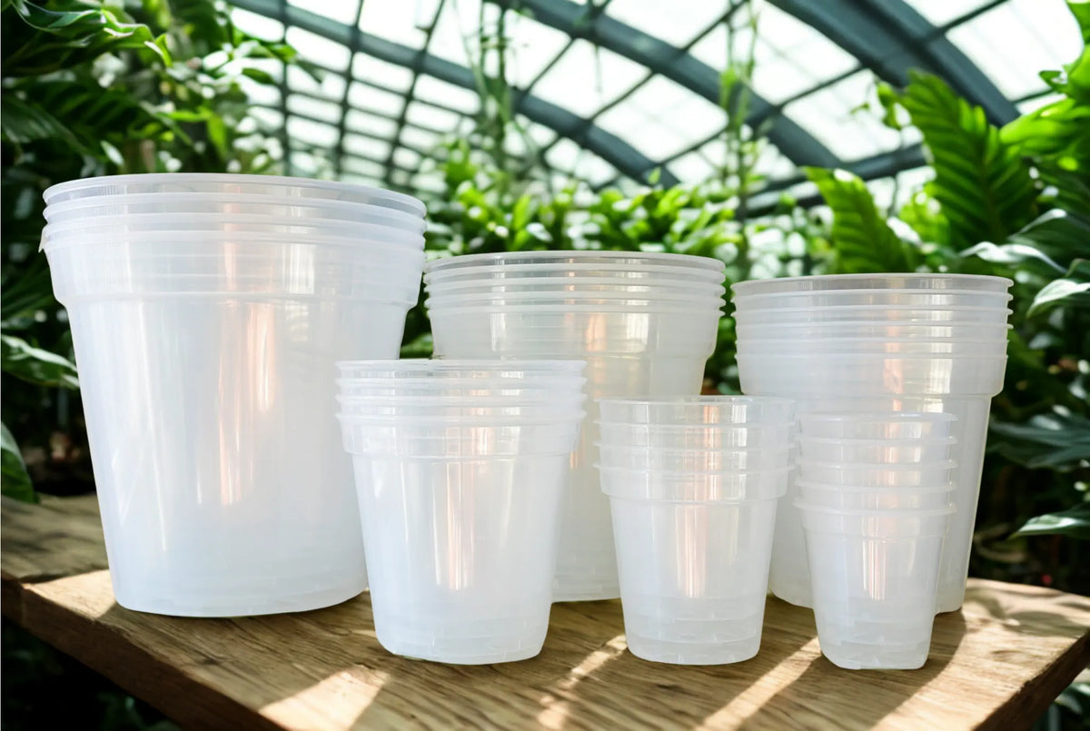 Clear Plastic Pots Hive Plants