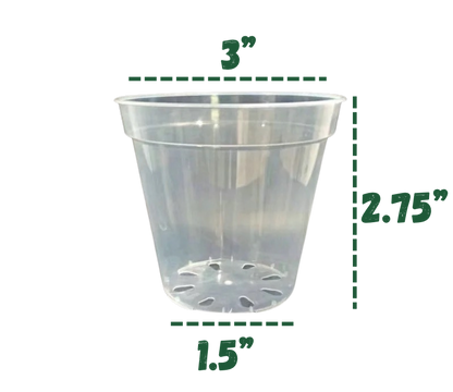 Clear Plastic Pots