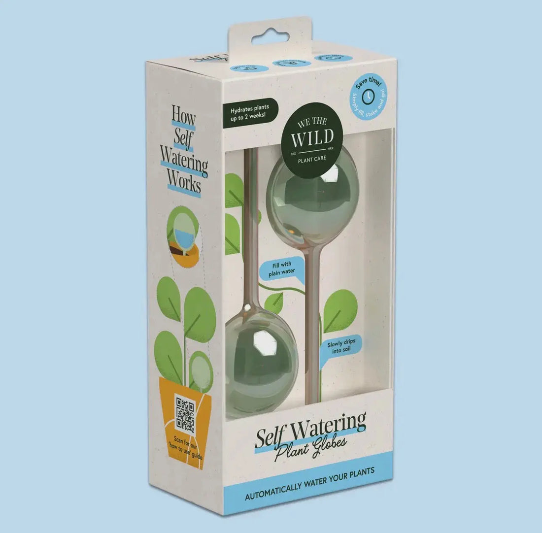 Self-Watering Plant Globes The White Oak Collection - Hive Plants