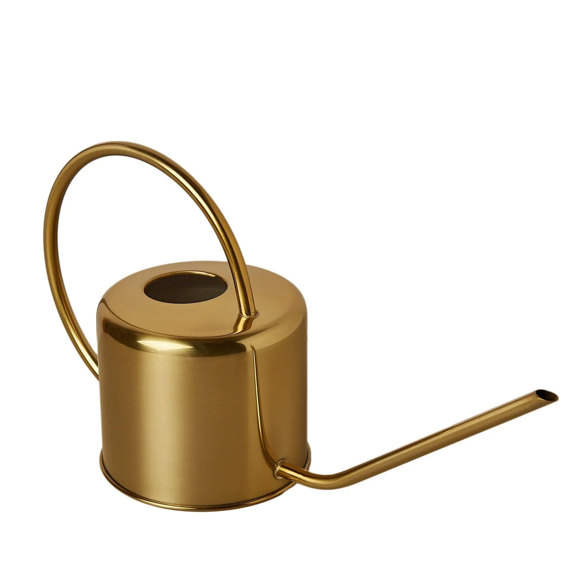 Brass Watering Can - Hive Plants - Garden Supplies/Accessories
