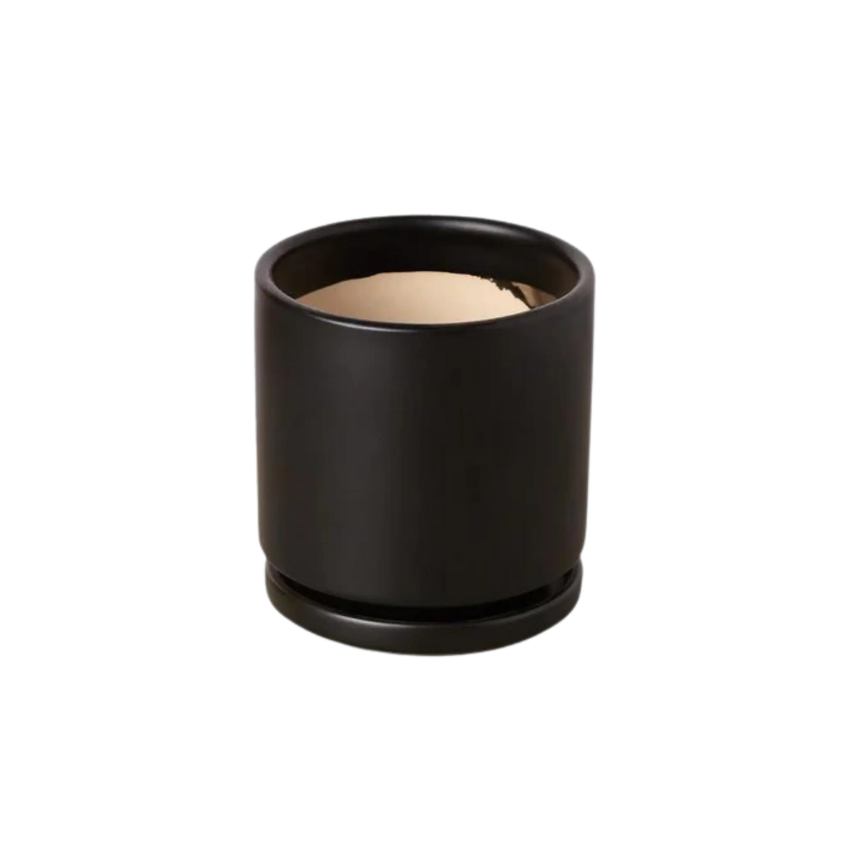 Cylinder Pot and Drip Tray - 4 Inches - Hive Plants - Pots &amp; Planters
