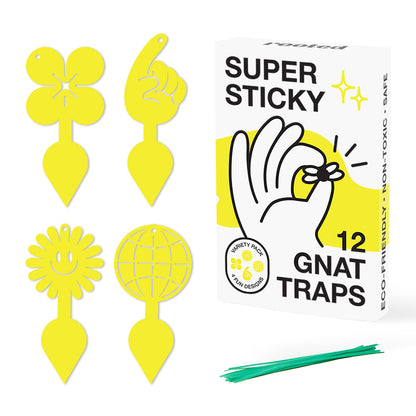Rooted Super Sticky Gnat Traps - Hive Plants - 