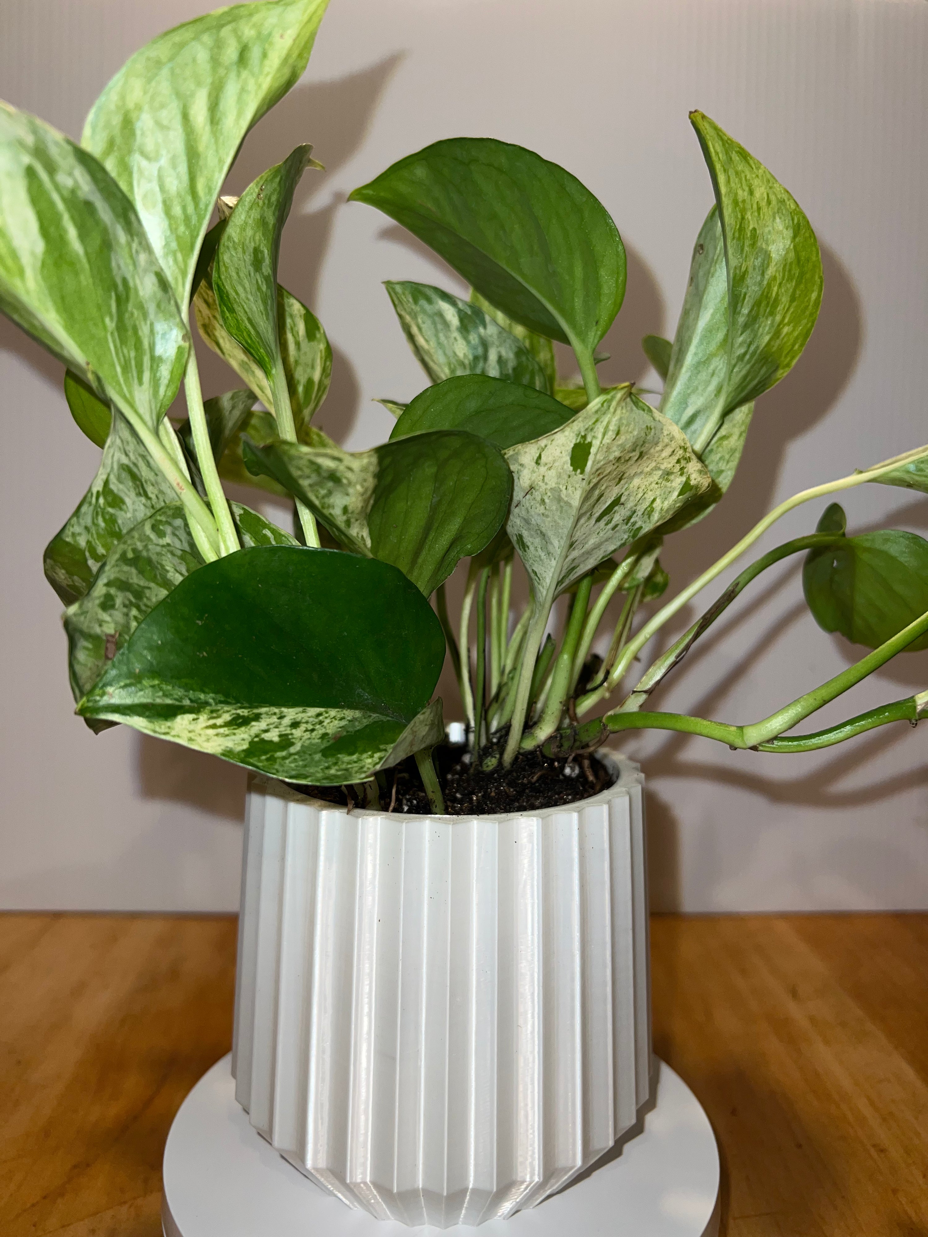 3D Printed Gear Pot - Hive Plants - Pots &amp; Planters