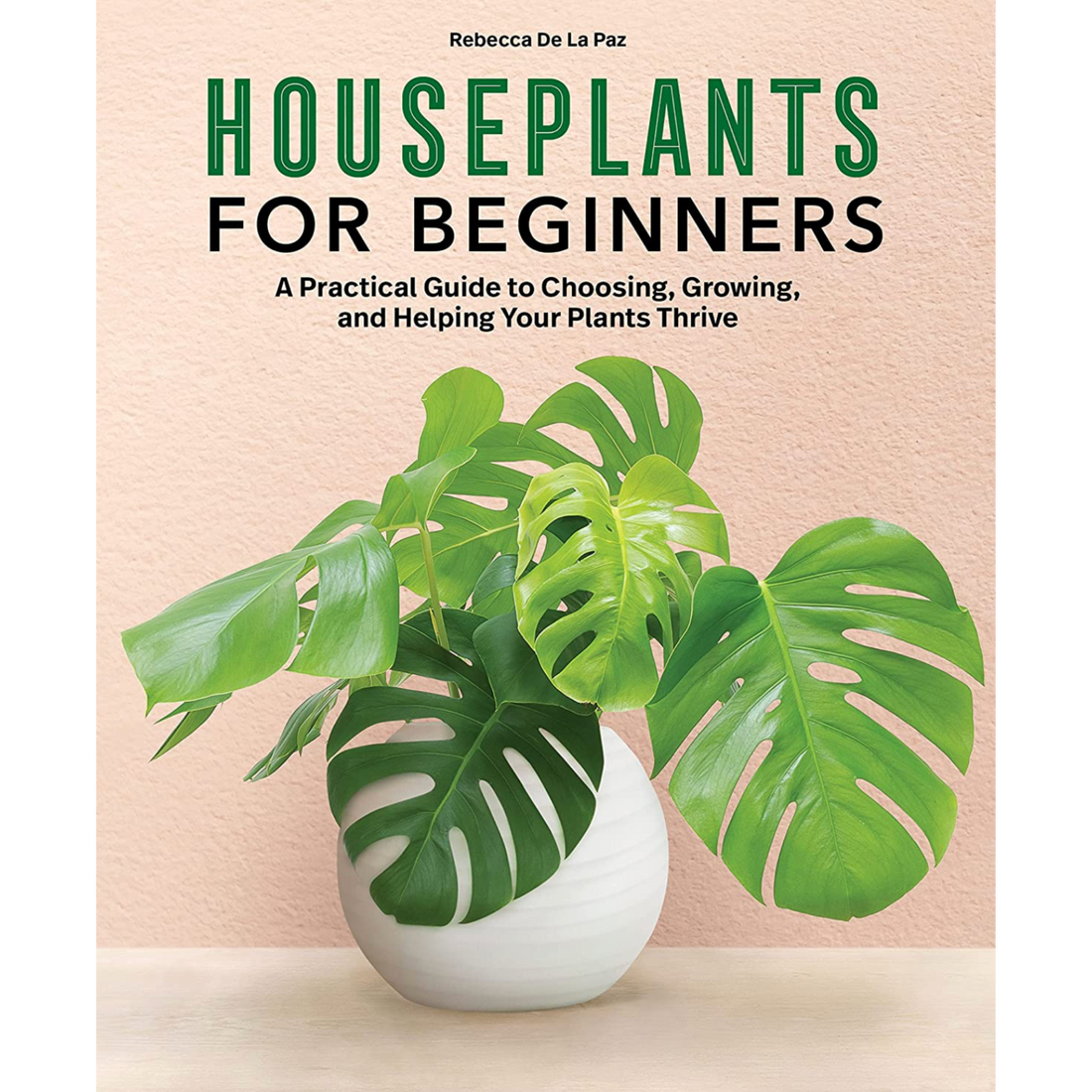 Houseplants for Beginners: A Practical Guide to Choosing, Growing, and Helping Your Plants Thrive - Hive Plants - 