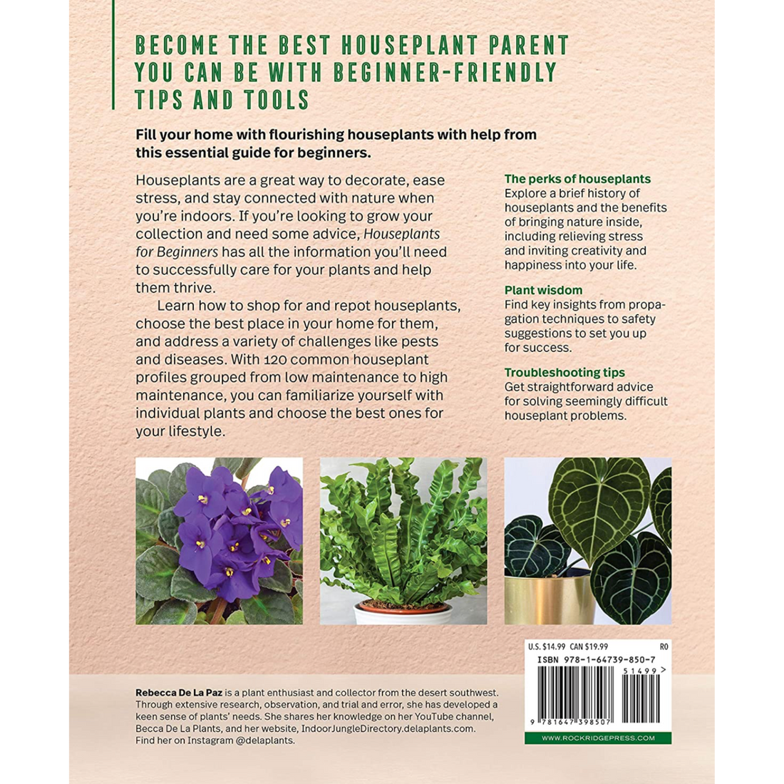 Houseplants for Beginners: A Practical Guide to Choosing, Growing, and Helping Your Plants Thrive - Hive Plants - 